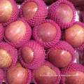 chinese huaniu red huaniu  red apple fruit